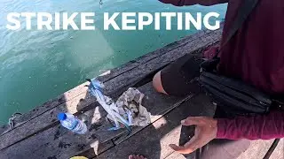 MANCING DI KERAMBA SERANGAN‼️STRIKE KEPITING