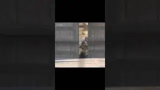 CS2 DAILY CLIPS #15