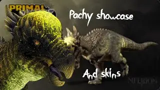 Primal Pursuit PACHY and skins