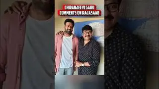 Chiranjeevi on Rajasaab Movie Failure | Prabhas Shocked Fans?