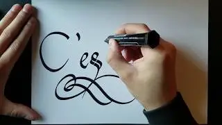 Calligraphy Writing C'est La Vie