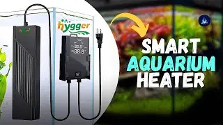 Fully Automatic Hygger Black Hole Smart Aquarium Heater HGY0003 | Unboxing & Full Review