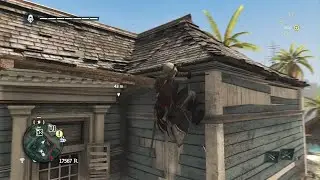 Assassin's Creed IV Black Flag Why berserker dart is op
