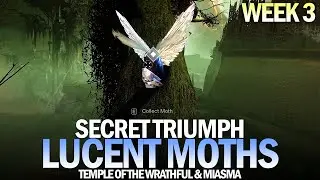 All Lucent Moth Locations Guide - Week 3 (Temple of the Wrathful & Miasma) [Destiny 2]