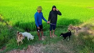 Bionic Best Friends The Future of Dog Human Bonds