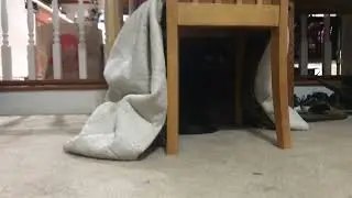SHADOW MONSTER