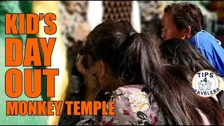 What to do in Kathmandu with Children? People Watching at Monkey Temple - Swayambhunath 360 4K walk