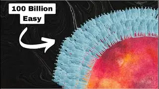 Why Overpopulation Is Not Concerning Whatsoever