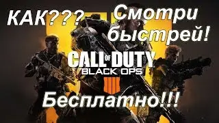 как бесплатно поиграть в Call of Duty: Black Ops 4