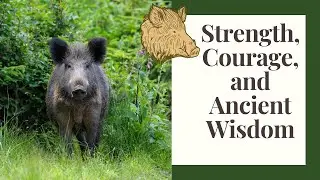 Wild Boar Spirit Animal | Norse, Celtic, and Native Traditions
