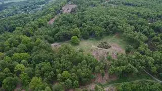 9 Ladies & the King Stone (Bronze age stone circle)