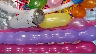 ASMR Balloon Modeling ✨ Smooth, Relaxing & Satisfying Compilation