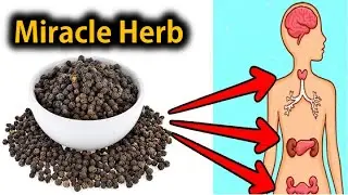 Science Backed Health Benefits of Black Pepper