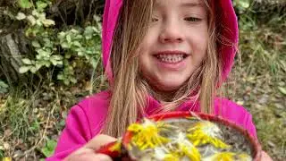 Sage Creek Prairie School 2025