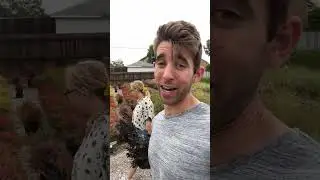 What it's like to shop at a Wholesale Nursery with Farmer Nick! #shorts