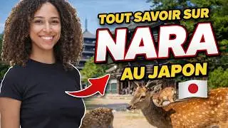 Nara en 1 jour : le guide complet (budget, temples, conseils)