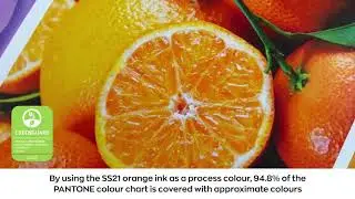 Mimaki SS21 Orange Ink