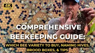 The Best Comprehensive Beekeeping Guide: Bee Variety to BUY, Naming Hives, Brood, Bee Roles & Tips
