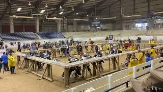 Carolina Carnage 12v12 Plague Knights vs ....