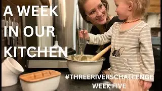Thriving In A Bustling Family Kitchen: Fun Cooking With Kids!