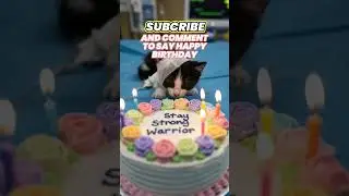 happy birthday cat sick #happybirthday #aiandcats #aicats #animalintelligence