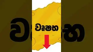 වෘෂභ Vrushaba Lagna #lagna #horoscopesinhala #astrologysrilanka #palapala  #astrology #news