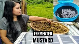 Traditional way of fermenting mustard /Ankam thu bawldan ciik a ciik a🤣🤣🤣 #villagefood
