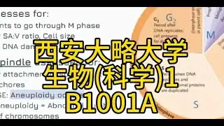 西安大略大学生物(科学)1 B1001A：伽利略留学生辅导