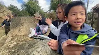 Family day out to the Auckland Zoo