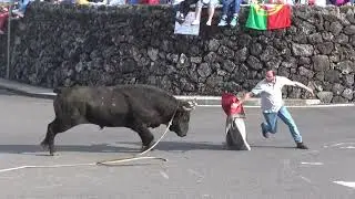 TOURADA COM BOAS MARRADAS...