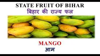 BIHAR STATE SYMBOLS || STATE SYMBOLS OF BIHAR ||