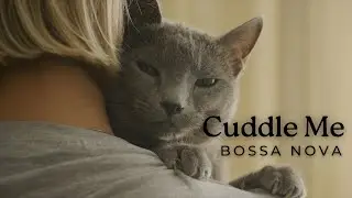 Imagine your feline feeling DESOLATE! Cuddle them EVERY DAY - Bossa Nova for Cats