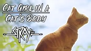 Little Kitty Cat | Stray [Full game]