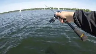 90cm Pike on Berkley Puls Shad