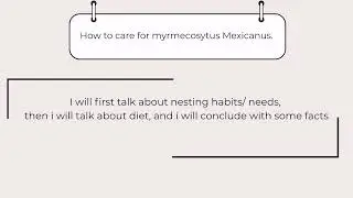 How to care for myrmecosytus mexicanus