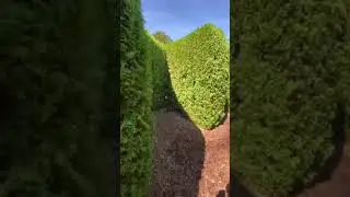 迷宮大偵探👉🏻溫哥華的真實花園像玩3D遊戲#shorts