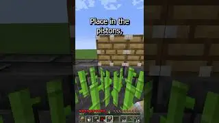 Simple Sugar Cane Farm Tutorial | Minecraft Shorts
