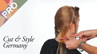 Paul Mitchell Connectivity Collection: Cut & Style Germany