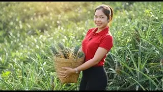 Harvesting Pineapples in the Field &ndash; Simple Village Life | Hana Farm Bushcraft