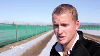 Leaderbrand Watermelon