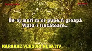Karaoke✴️ De-oi muri m-or pune-n groapa✅ NEGATIV - Viata trecatoare - VERSURI - [NOU✳️2024]