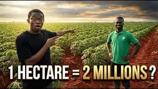 Et si le MANIOC était la solution pour sortir de la pauvreté ?