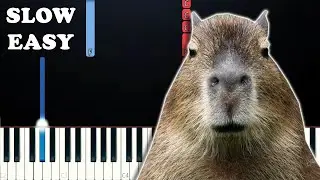Capybara - OK I Pull UP Meme (SLOW EASY PIANO TUTORIAL)
