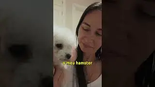 MINY COM MEDO DO HAMSTER - Fam&iacute;lia Brancoala #Shorts
