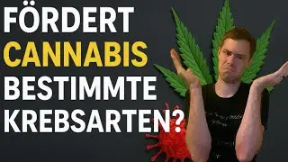 Does cannabis promote certain types of cancer