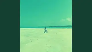 Background for Beach Parties