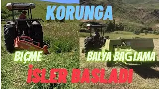 BİR GÜNDE 8 PARÇA TARLA MI I Sezon Açıldı Korunga Biçtik I Köy İşleri