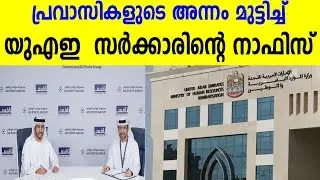 പ്രവാസികളുടെ അന്നം മുട്ടിച്ച്  യുഎഇ  സർക്കാരിന്റെ നാഫിസ് | UAE HR NEWS |EMPLOYMENT SITUATION IN UAE