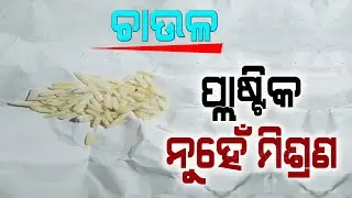 Plastic Rice Investigation Result