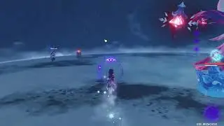 Rise of the Fellflower Genshin Impact Fun Coop